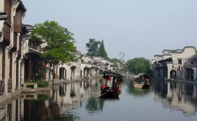 拯救落难小鸟